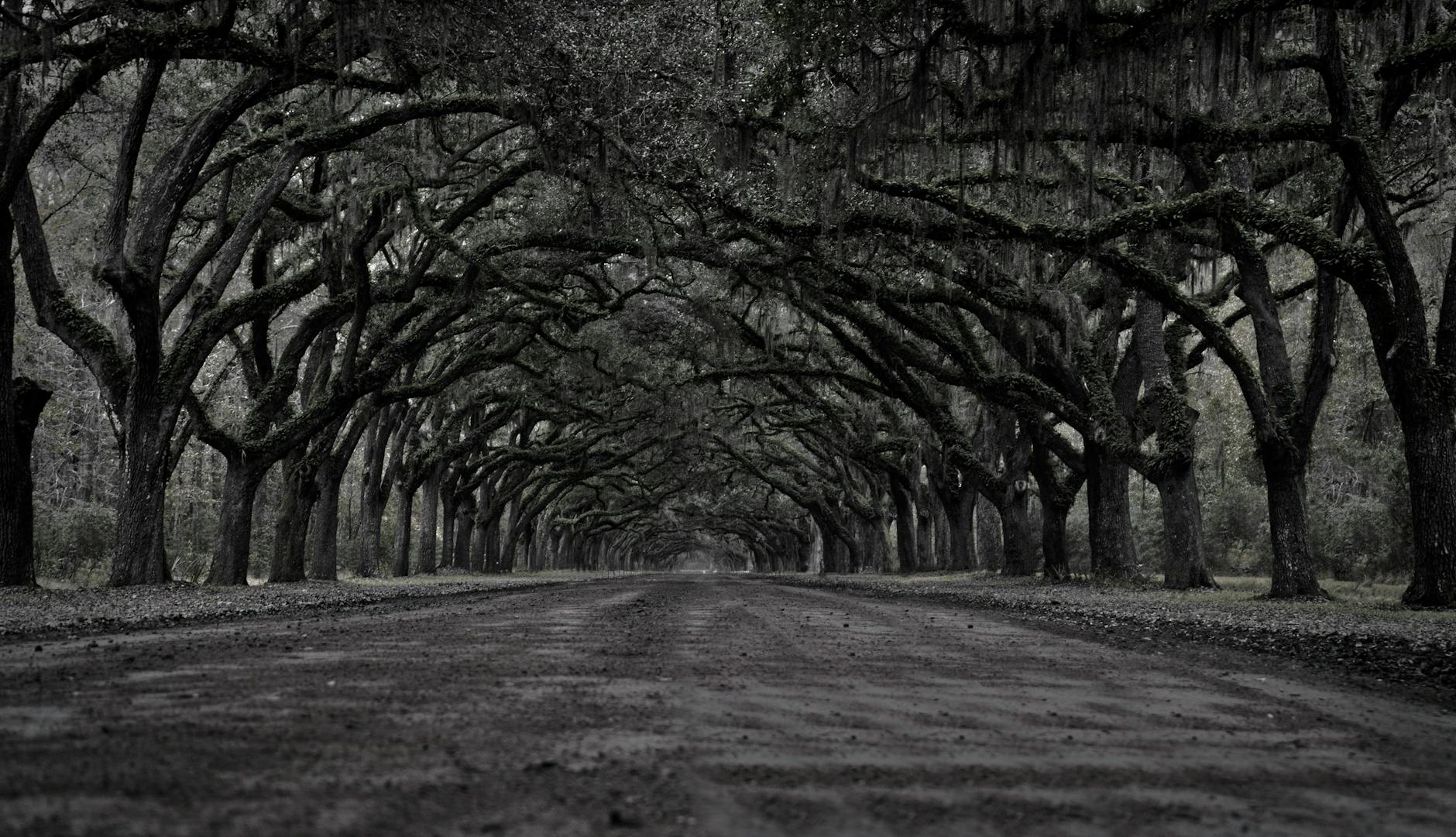Spanish Moss and Ghost Stories: A Weekend Exploring Historic Savannah