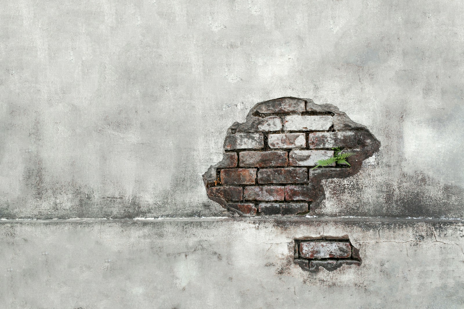 Knowing and Ignoring: Cognitive Dissonance and the Climate Change Paradox