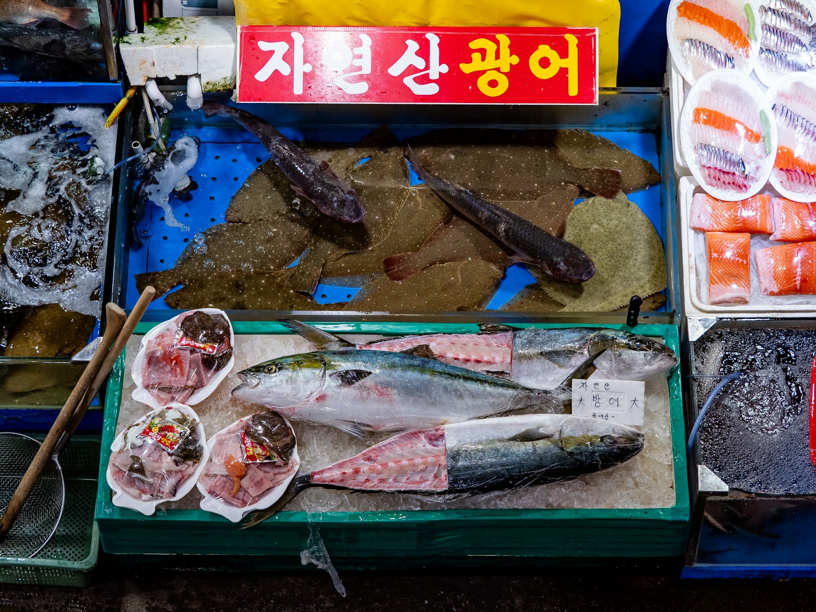 Gastrodiplomacy: Can South Korea's Culinary Ambitions Succeed Where Traditional Diplomacy Fails?