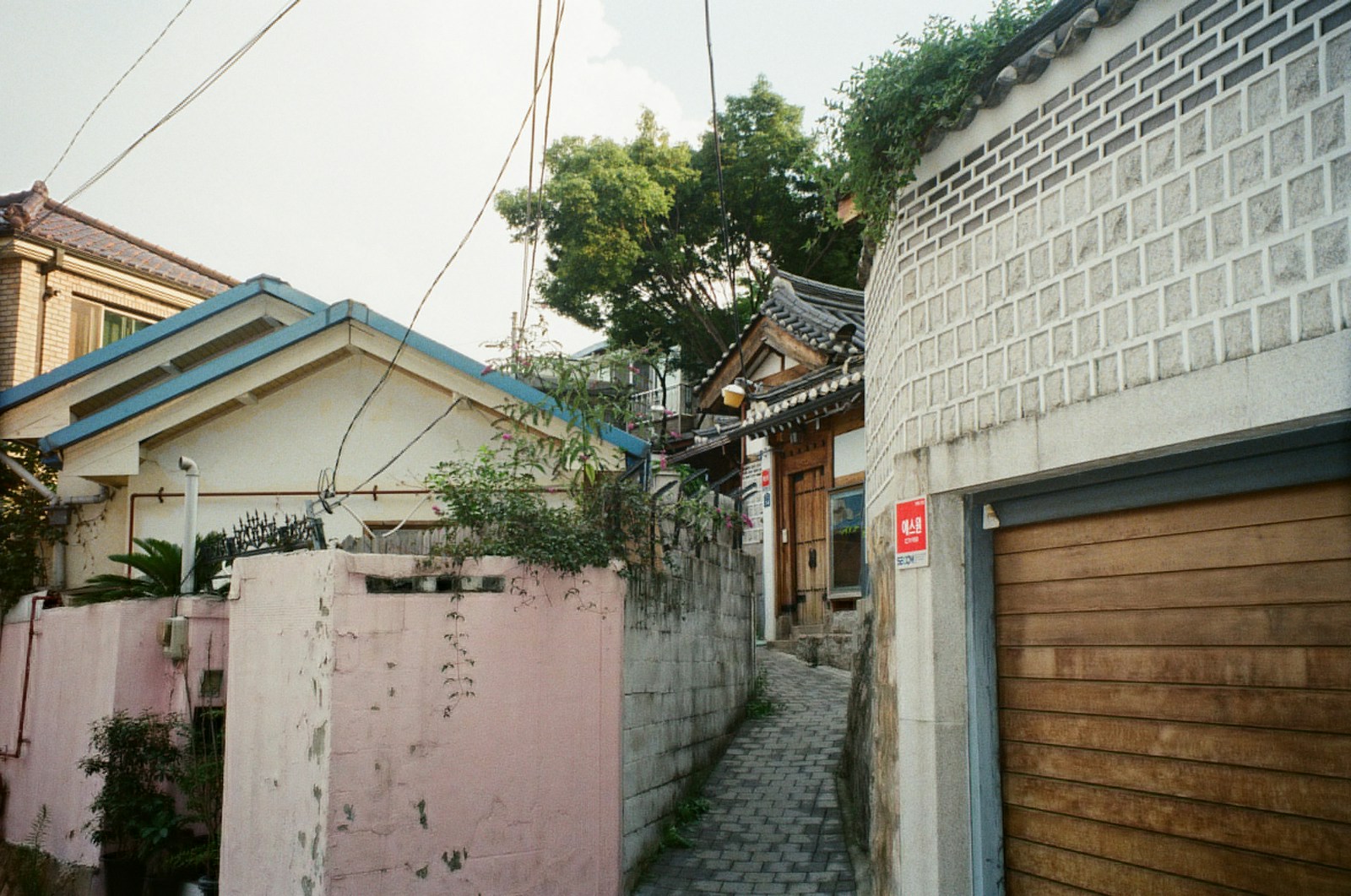 Koreans in Georgia, Part 1: Between Two Worlds in a Small Southern Town