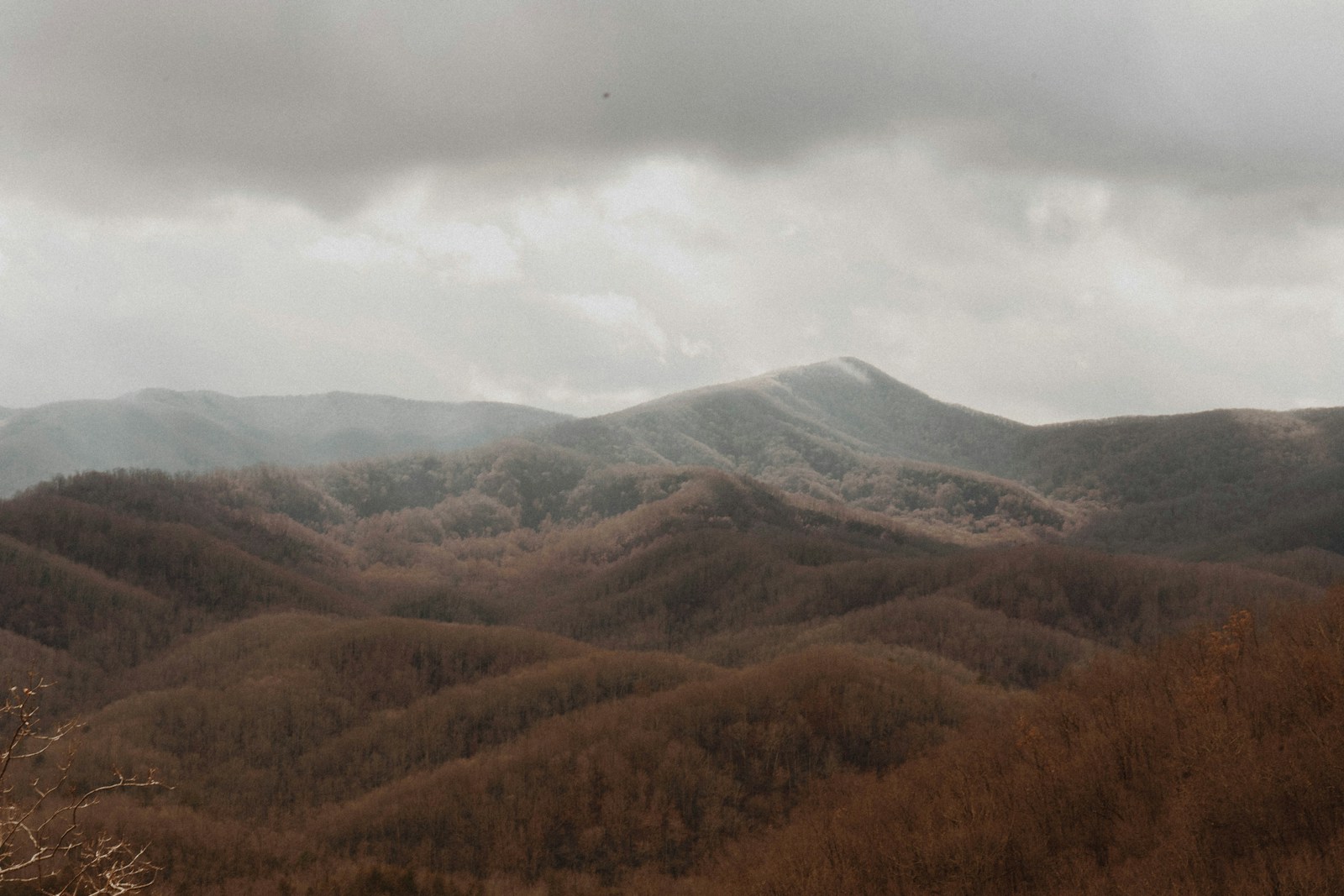 Koreans in Georgia, Part 2: The New Southern Fusion