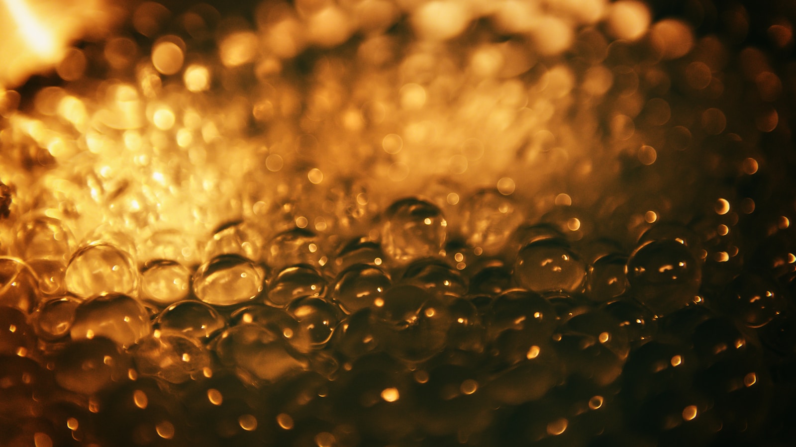 The AI Gold Rush: Are We Building a New Economy or Just a Bigger Bubble?