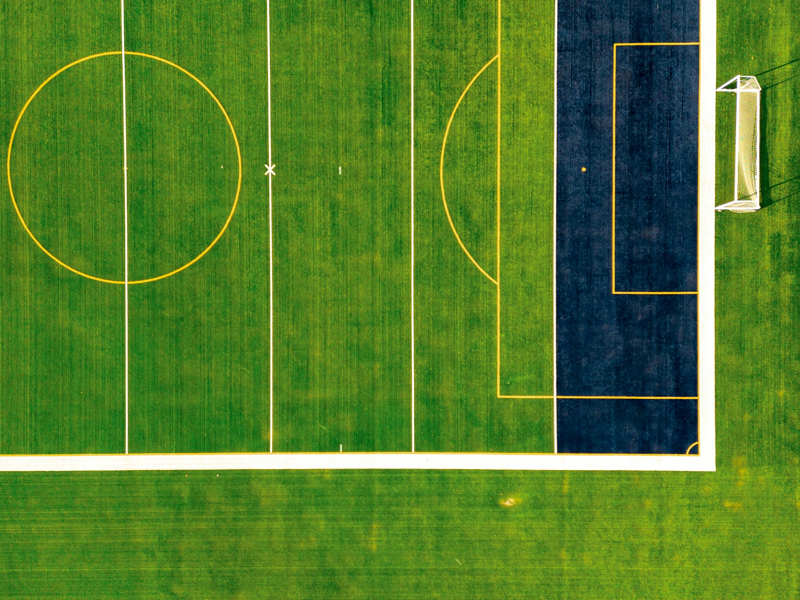 Beyond the Box Score: The Data Revolution That Has Reshaped Modern Sports