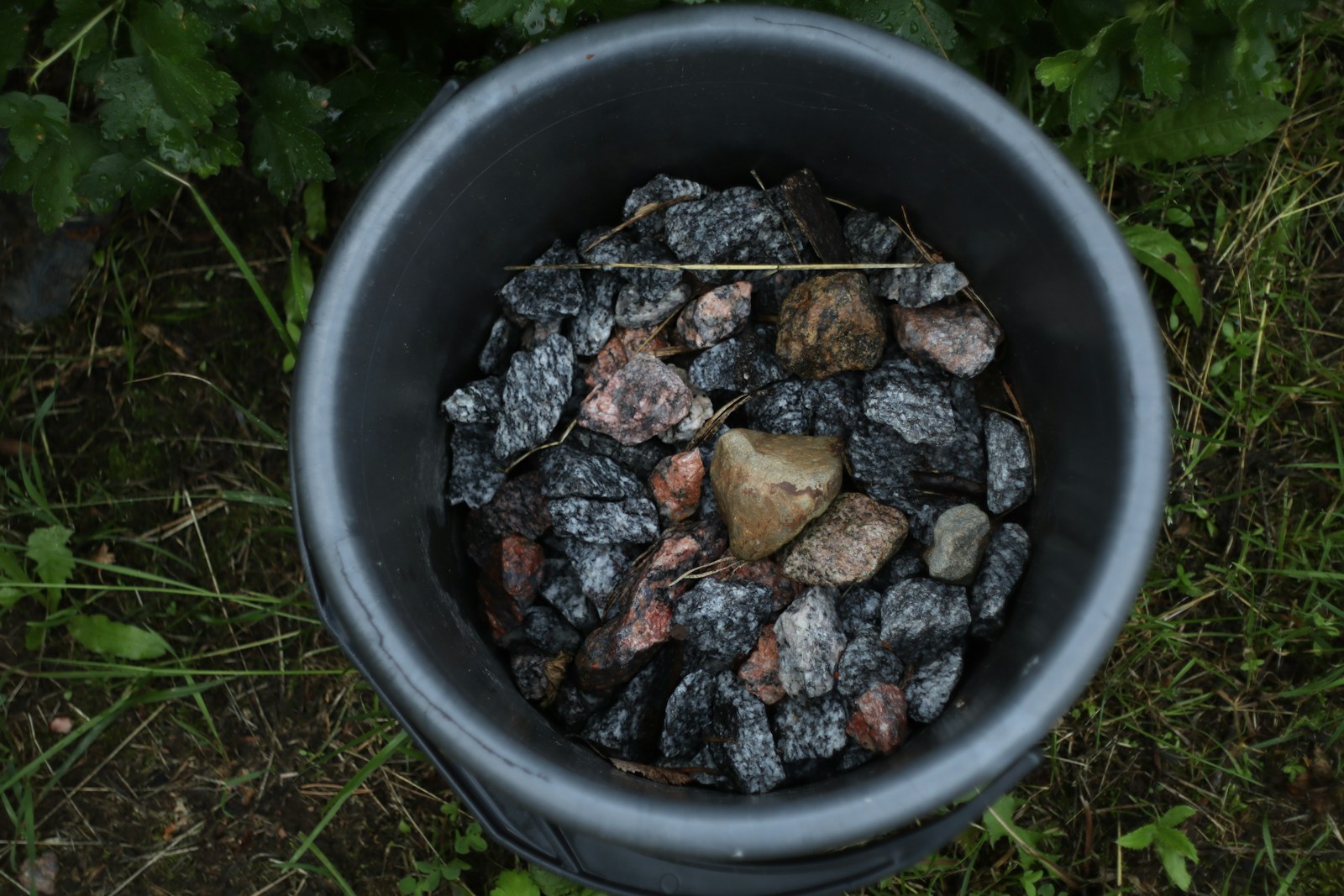 Burning Trash for Power: A Silver Bullet for Waste or a Toxic Distraction?