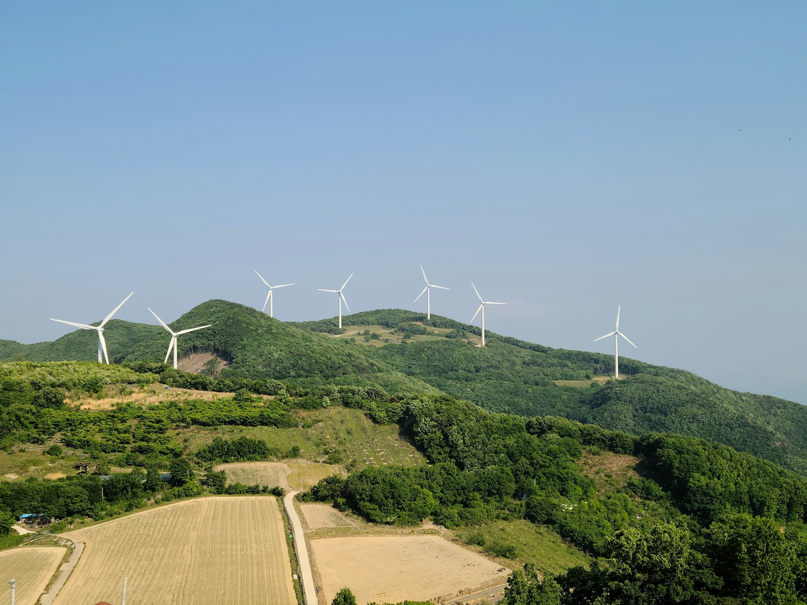 Grading the Green New Deal: A Five-Year Report Card on South Korea's Climate Ambitions
