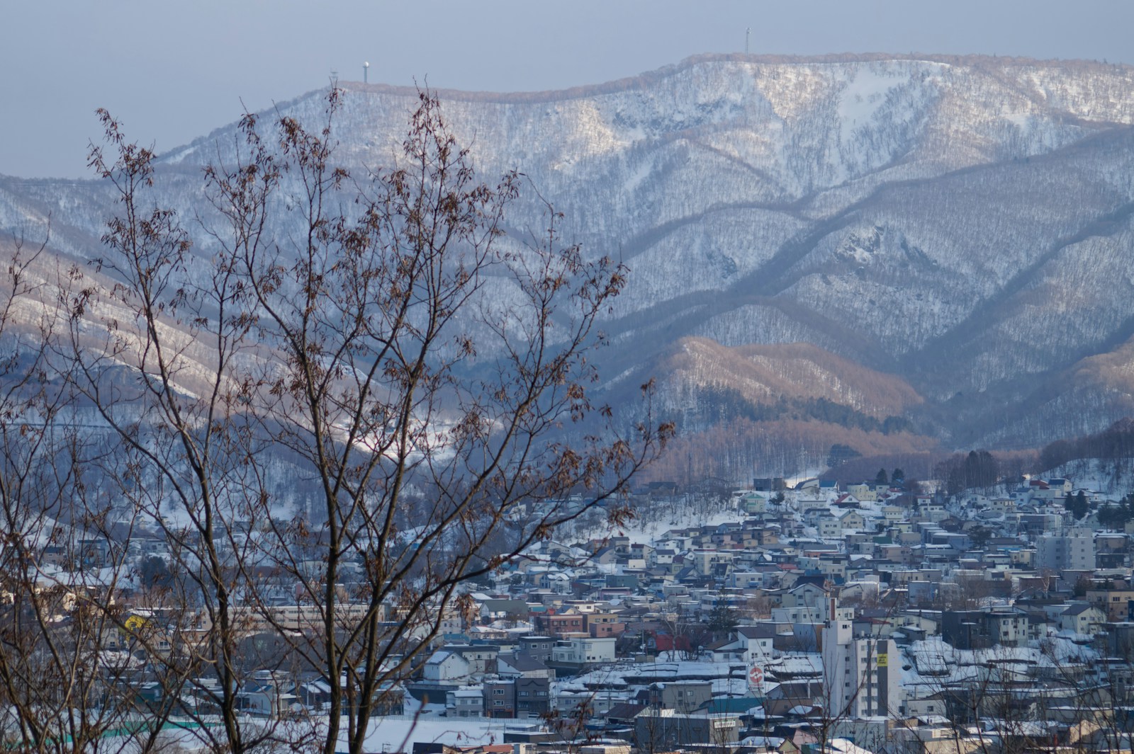 Koreans in Georgia, Part 4: From the DMZ to the Deep South