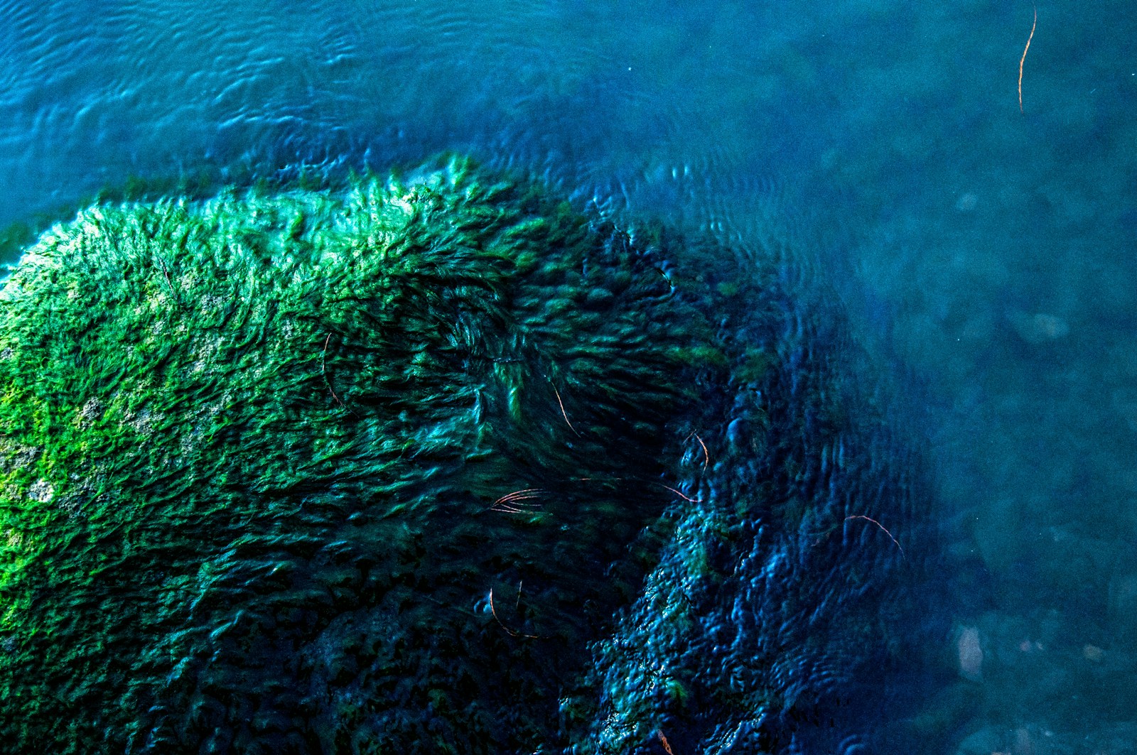 The Abyss Gazes Back: How the Hunt for Battery Metals Threatens the Deep Sea