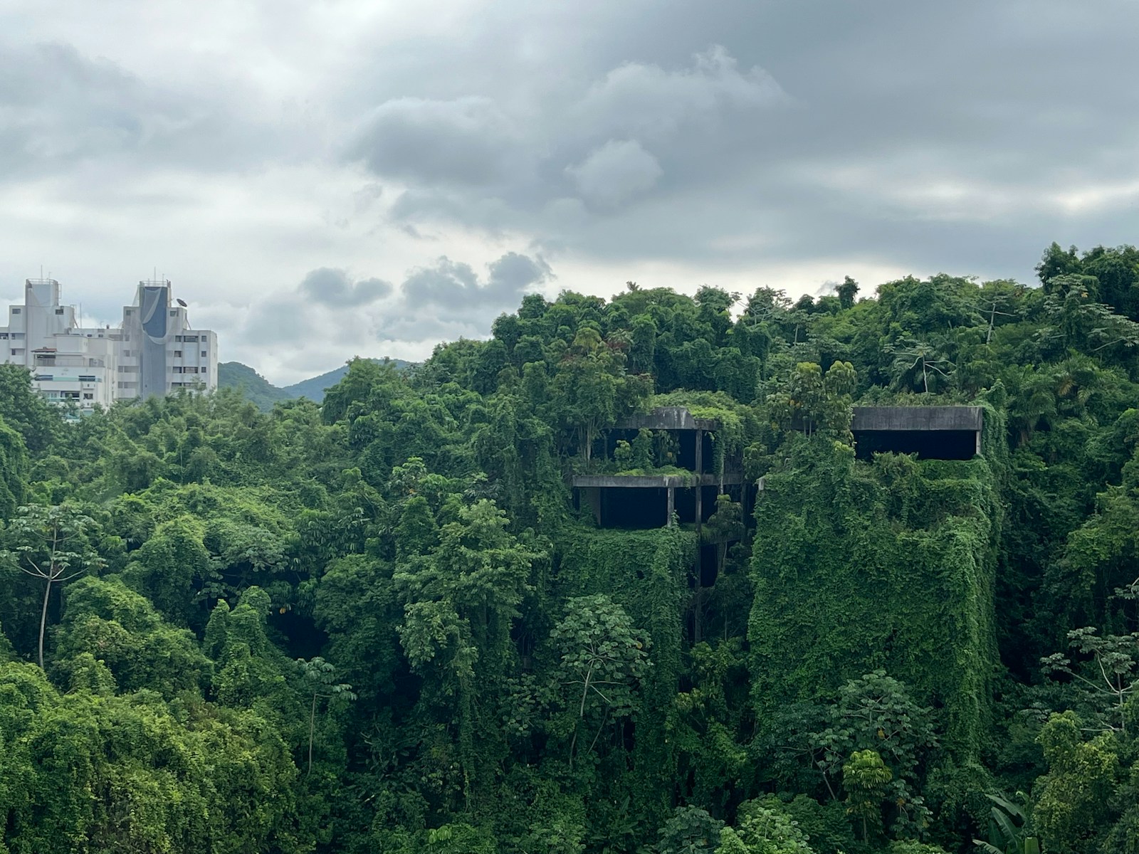 The Concrete Jungle's Green Heart: Engineering a Megacity for Biodiversity
