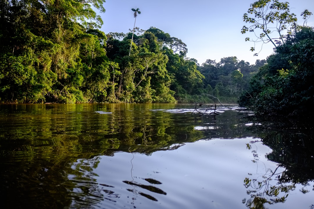 The COP in the Rainforest: What Belém Actually Delivered
