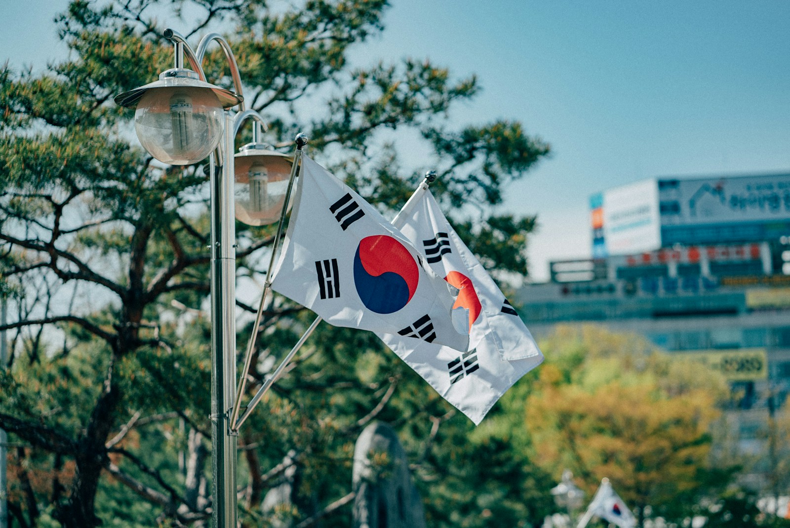 The Korean Diaspora in an Unlikely Place: Finding Identity in the American South